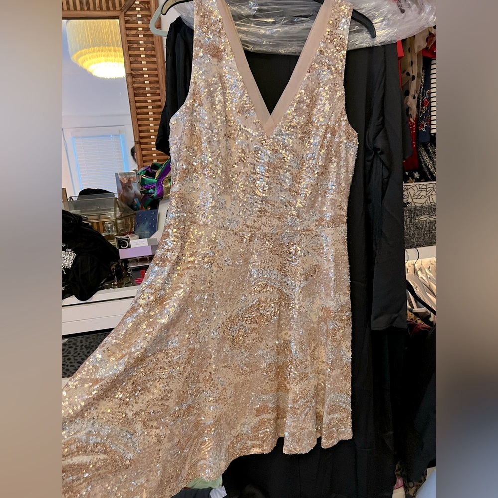 Beautiful sequin dress